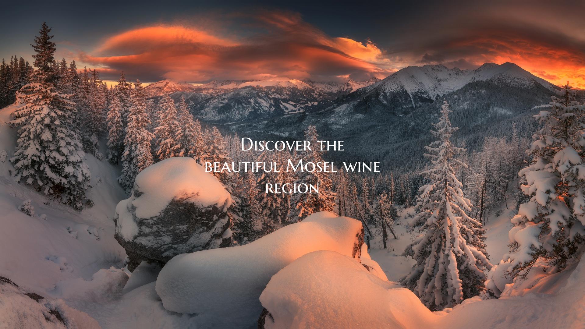 Discover the beautiful Mosel wine region